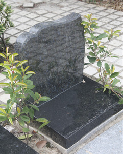 常青苑B区（双）